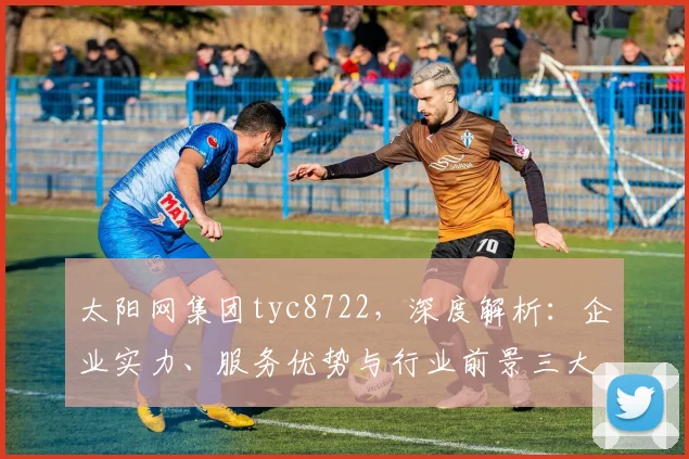 太阳网集团tyc8722，深度解析：企业实力、服务优势与行业前景三大亮点