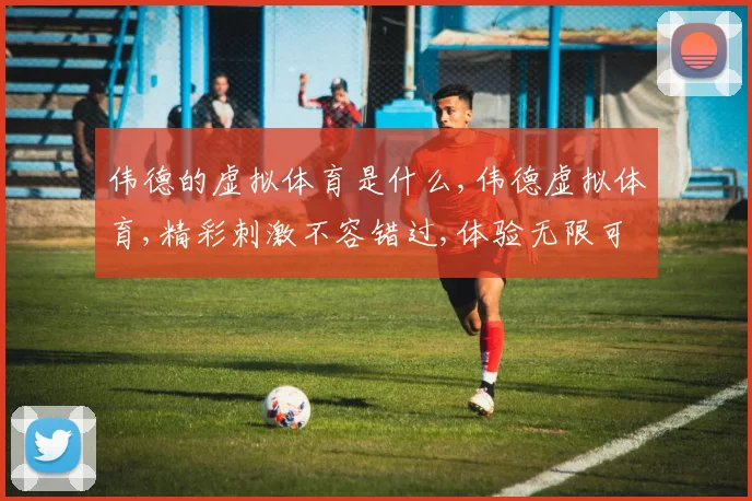 伟德的虚拟体育是什么,伟德虚拟体育,精彩刺激不容错过,体验无限可能
