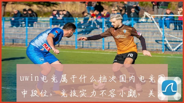 uwin电竞属于什么档次国内电竞圈中段位，竞技实力不容小觑，关注度高。